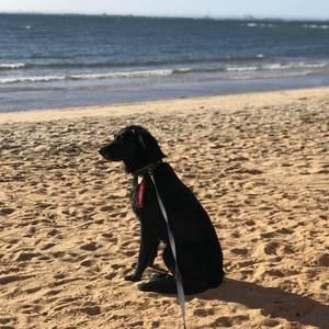 Meet your Posher, Eileen